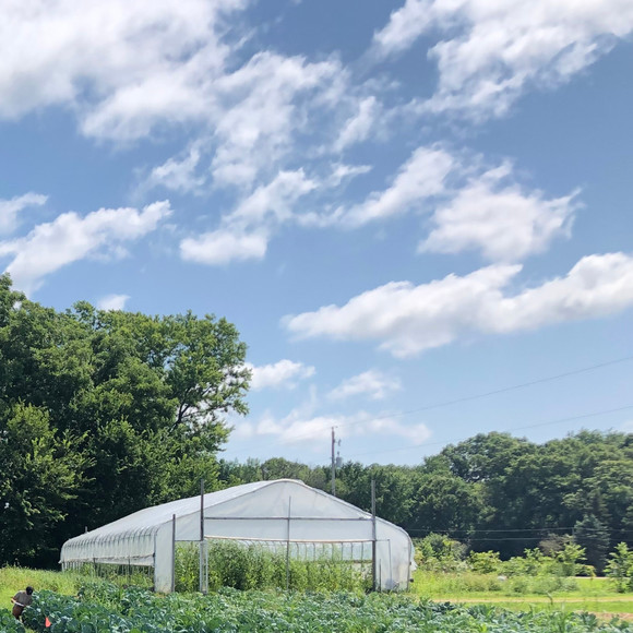 Meet your Posher, Jessica - Picture 1 of 1